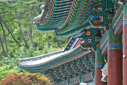 Visit Korea with Magical Korea tour operator